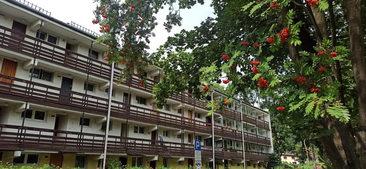 Retrospekcja - Apartament W Centrum Zakopane Eksteriør billede
